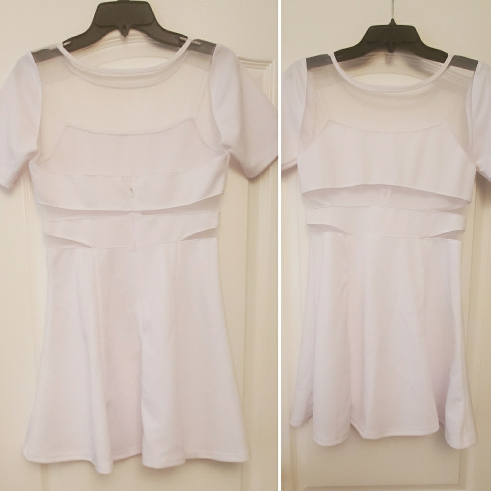 Sheer Skater Dress